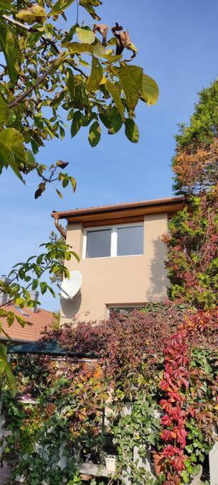 Flora House 3 Minutes From Lake Balaton 케츨리 외부 사진